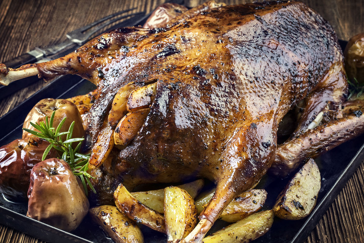 Roasted Goose